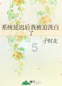 猫猫冒险团